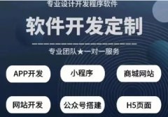 全行业软件定制开发 硬件程序开发 安卓ios端app开发 小
